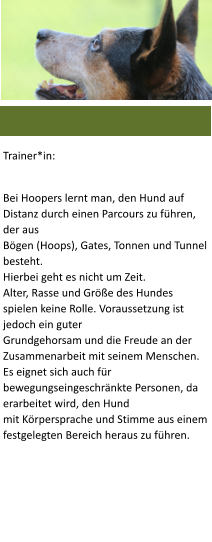 Trainer*in: Bei Hoopers lernt man, den Hund auf Distanz durch einen Parcours zu f�hren, der ausB�gen (Hoops), Gates, Tonnen und Tunnel besteht.Hierbei geht es nicht um Zeit.Alter, Rasse und Gr��e des Hundes spielen keine Rolle. Voraussetzung ist jedoch ein guterGrundgehorsam und die Freude an der Zusammenarbeit mit seinem Menschen.Es eignet sich auch f�r bewegungseingeschr�nkte Personen, da erarbeitet wird, den Hundmit K�rpersprache und Stimme aus einem festgelegten Bereich heraus zu f�hren.